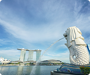 最新攻略！远程开设汇丰新加坡账户，详细指南来袭！