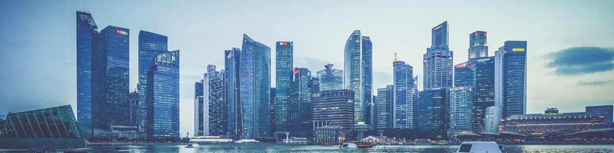 新加坡开公司的费用：全面解析新加坡公司注册的成本和费用